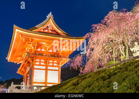 Kyoto, Japon Kiyomizu-dera au culte extérieur gate au printemps est éclairée la nuit. Banque D'Images