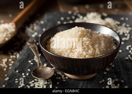 Blanc cru dans un bol de riz à sushi Banque D'Images