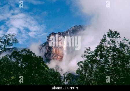 Salto Angel Falls - Parc national Canaima - Venezuela 2 Banque D'Images