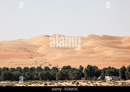 Dunes dans le désert. Émirat d'Abu Dhabi, Émirats Arabes Unis Banque D'Images