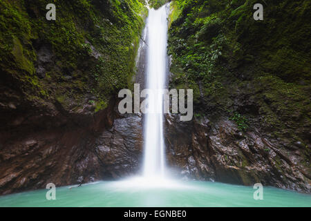 L'Asie du Sud, les Philippines, les Visayas, Cebu, Dumaguete, Valence, chutes de Casaroro Banque D'Images