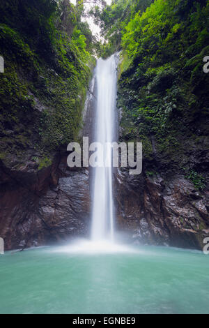 L'Asie du Sud, les Philippines, les Visayas, Cebu, Dumaguete, Valence, chutes de Casaroro Banque D'Images