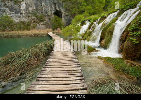 Chutes d'eau le long d'une passerelle dans le parc national des lacs de Plitvice, Croatie Banque D'Images