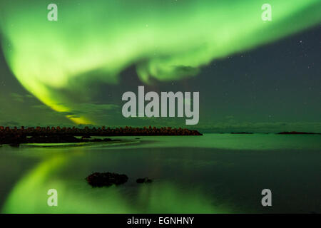 Près de Northern Lights Eggum, aurores boréales, Eggum, Lofoten, Norvège Banque D'Images