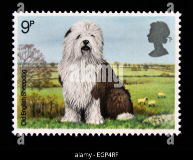 Timbre-poste. La Grande-Bretagne. La reine Elizabeth II. 1979. Les chiens. Old English Sheepdog. 9p. Banque D'Images