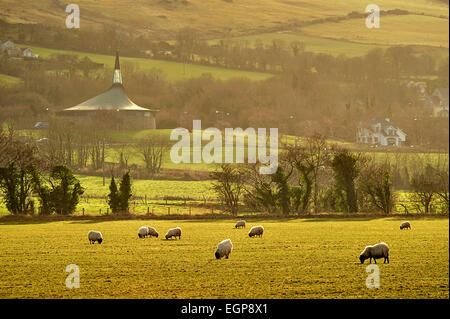 Le pâturage des moutons dans un pâturage à Burt, comté de Donegal, Irlande. Photo : George Sweeney / Alamy Banque D'Images