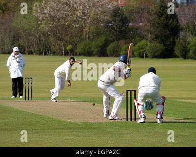 Jouer au cricket dans un match de championnat Banque D'Images