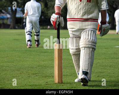 Jouer au cricket dans un match de championnat Banque D'Images