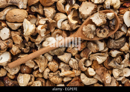 Cuillère en bois avec des champignons séchés se trouve sur un fond de champignons Banque D'Images