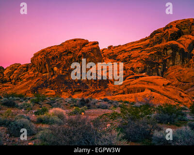 Des formations de roche rouge dans la Vallée de Feu State Park, Nevada, USA, bleu heure après le coucher du soleil, désert de Mojave, series with copy space Banque D'Images