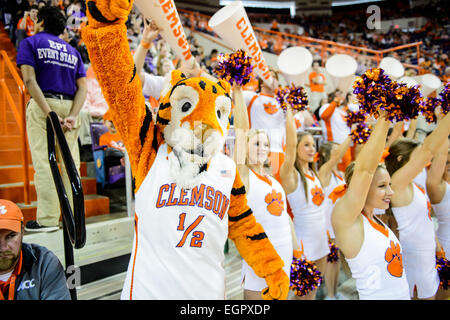 28 février 2015 : Clemson Cheerleaders et le Tiger Cub effectuer pendant un délai d'attente au cours de la 2e moitié de l'action entre Georgia Tech et Clemson Tigers à Littlejohn Coliseum à Clemson, SC. Défaites Clemson Georgia Tech 70-63. Banque D'Images