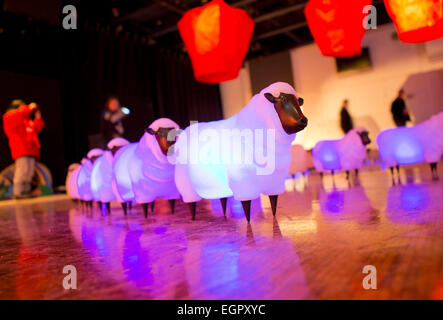 Toronto, Canada. 28 Février, 2015. Les gens visitent un mouton labyrinthe au cours de la lanterne 2015 LunarFest au Harbourfront Centre à Toronto, Canada, le 28 février 2015. Ce festival de deux jours bringed toutes les choses liées avec des moutons pour célébrer la Nouvelle Année lunaire chinoise, l'année de la brebis. © Zou Zheng/Xinhua/Alamy Live News Banque D'Images