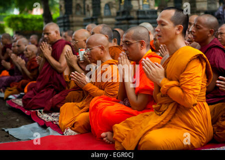 Les moines bouddhistes du temple de la Mahabodhi à Bodhgaya, en Inde, un jour après le terrorisme d'une bombe le 7 juillet 2013. Banque D'Images