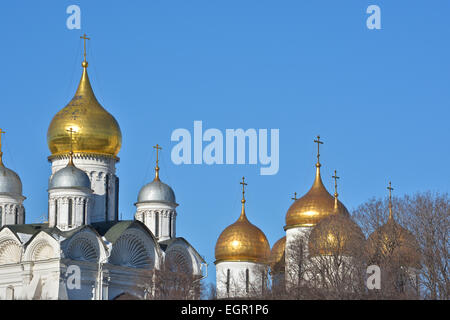 Dômes dorés des églises orthodoxes du Kremlin de Moscou. Dôme doré sur le fond bleu du ciel. Banque D'Images