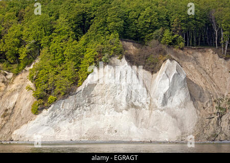 Les falaises de craie du littoral de l'île de Rügen, montrant le rocher connu sous le nom de Wissower Klinken, Parc National de Jasmund Banque D'Images