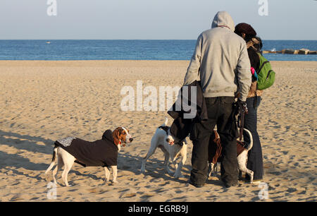 Les personnes avec des chiens sur la plage par temps froid jour d'hiver ensoleillé de la Barceloneta, Barcelone, Catalogne, Espagne Banque D'Images