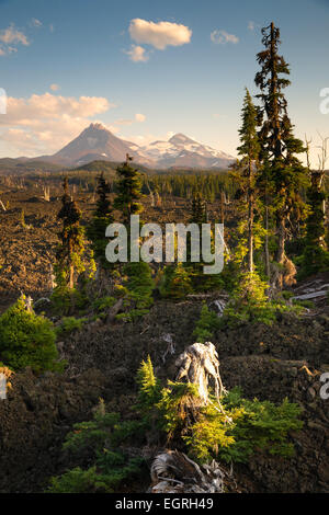 Mckenzie Pass trois Sœurs Cascades Champ de lave Banque D'Images