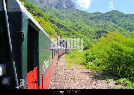 El Chepe train dans le Canyon de cuivre, Mexique Banque D'Images