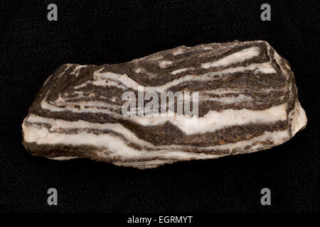 Gneiss folié, Maryland, USA, roche métamorphique Banque D'Images