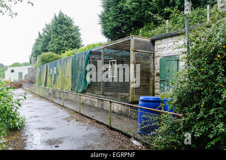 Cages négligé à un zoo. Banque D'Images