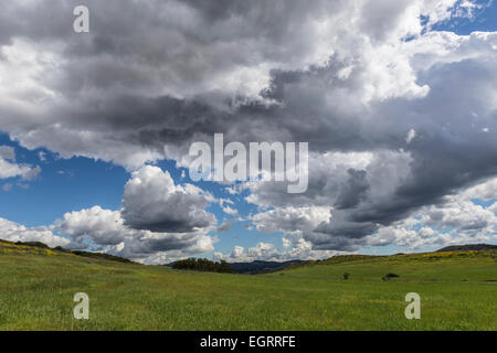 Les nuages de tempête du printemps à Wildwood Regional Park dans la banlieue de Los Angeles de Thousand Oaks, en Californie. Banque D'Images