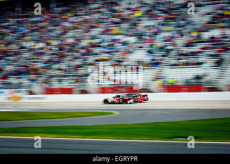 Atlanta, GA, USA. 1er mars 2015. Atlanta, GA - Mar 01, 2015 : Austin Dillon (3) courses sur le devant s'étirer pendant les plis d'honneur QuikTrip 500 à Atlanta Motor Speedway à Atlanta, GA. © csm/Alamy Live News Banque D'Images