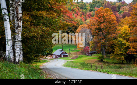 Cabane à sucre colorée de la ferme de sirop d'érable du Vermont, arbres forestiers sur un enroulement, Reading, Vermont, automne Nouvelle-Angleterre automne automne feuilles colorées de la ferme Images Banque D'Images