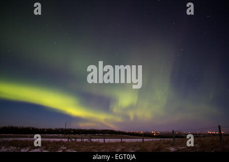 Calgary, Canada. 1er mars 2015. Aurora Borealis produit habituellement près du pôle nord, mais peut parfois être vu vers le sud jusqu'à Calgary. Credit : NisargMedia.com/Alamy Live News Banque D'Images