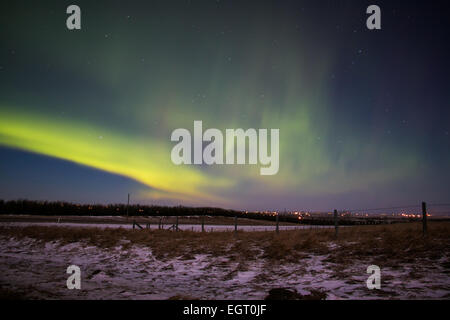 Calgary, Canada. 1er mars 2015. Aurora Borealis produit habituellement près du pôle nord, mais peut parfois être vu vers le sud jusqu'à Calgary. Credit : NisargMedia.com/Alamy Live News Banque D'Images