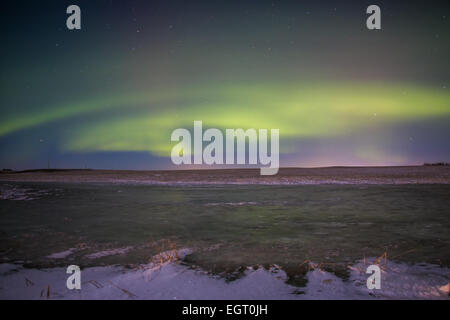 Calgary, Canada. 1er mars 2015. Aurora Borealis produit habituellement près du pôle nord, mais peut parfois être vu vers le sud jusqu'à Calgary. Credit : NisargMedia.com/Alamy Live News Banque D'Images