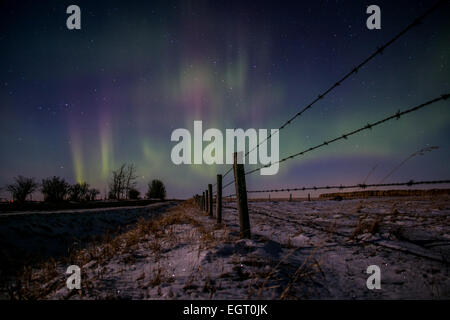 Calgary, Canada. 1er mars 2015. Aurora Borealis produit habituellement près du pôle nord, mais peut parfois être vu vers le sud jusqu'à Calgary. Credit : NisargMedia.com/Alamy Live News Banque D'Images