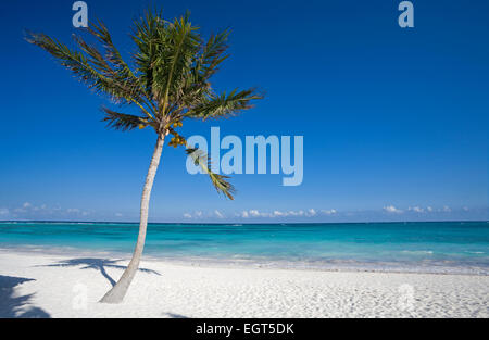 Plage des Caraïbes, près de Playa del Carmen, Quintana Roo, Mexique Banque D'Images