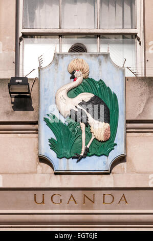 L'oiseau national de l'Ouganda, la grue couronnée grise, sur du Haut-commissariat de l'Ouganda à Trafalgar Square. Banque D'Images