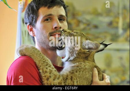 La région de Klatovy, République tchèque. 28 Février, 2015. Jiri zoologiste Marek détient 9 mois lynx boréal (Lynx lynx) en centre d'information du Parc National de Sumava, en Kasperske montagnes, région de Klatovy, République tchèque, le 28 février 2015. Il est adapté à l'homme et il ne peut pas retourner à la nature. Son nom est Blondyn et alternativement vit au parc du zoo Zajezd près de Kladno ou à Prague's flat. Photo : CTK/Alamy Live News Banque D'Images