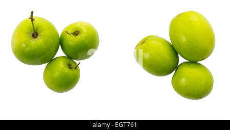 Singe appelé Ziziphus mauritiana pomme fruit, isoler sur fond blanc et clipping path Banque D'Images