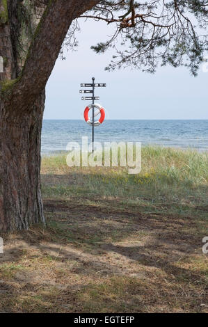 Arbre et bouée de sauvetage sur la plage à l'Ahus, Suède. Banque D'Images