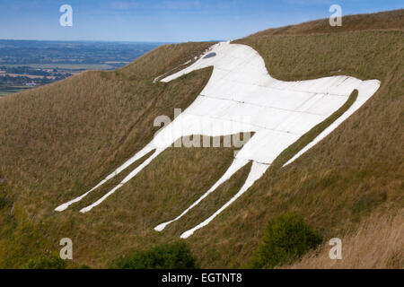 Un paysage de la Westbury White Horse sur le bord de Bratton Downs, Wiltshire, Angleterre Banque D'Images