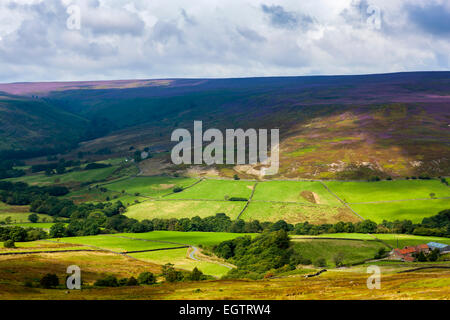 Une vue sur moors près de Westerdale, North York Moors National Park, North Yorkshire, Angleterre, Royaume-Uni, Europe. Banque D'Images