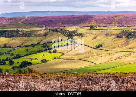 Vue sur Fryup Dale près de Danby, North York Moors National Park, North Yorkshire, Angleterre, Royaume-Uni, Europe. Banque D'Images