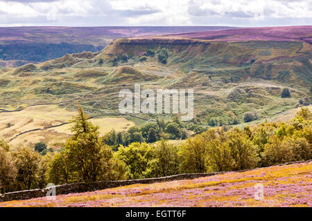 Vue sur Fryup Dale près de Danby, North York Moors National Park, North Yorkshire, Angleterre, Royaume-Uni, Europe. Banque D'Images