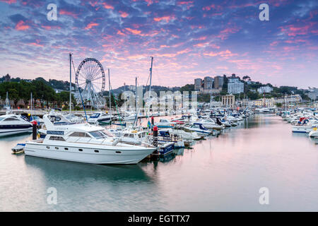 Ville et Port, Torquay, Devon, Angleterre, Royaume-Uni, Europe. Banque D'Images