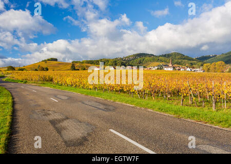 Route des Vins d'Alsace, Riquewihr, Haut Rhin, Alsace, France, Europe. Banque D'Images