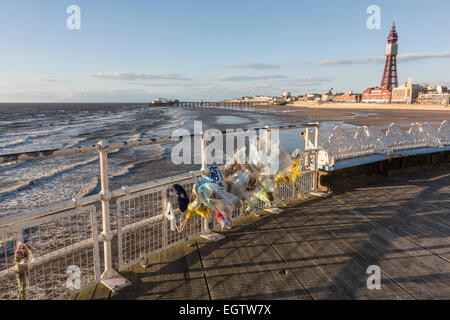 Fleurs dans le Central Pier balustrade avec la tour de Blackpool Banque D'Images