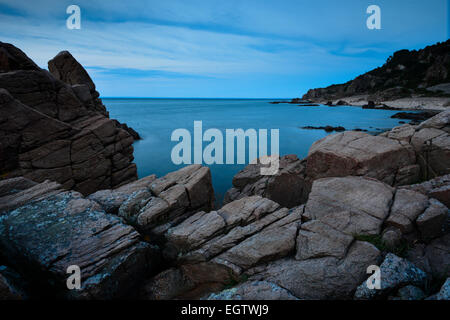 L'humeur du soir, Hovs Hallar, littoral, réserve naturelle de la péninsule Bjärehalvön, Båstad, Scania, Suède Banque D'Images