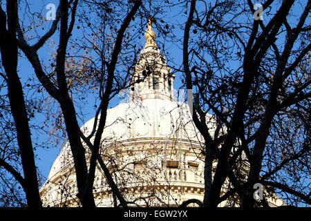 Une vue rapprochée de la cathédrale St Paul dome entouré d'arbres Banque D'Images