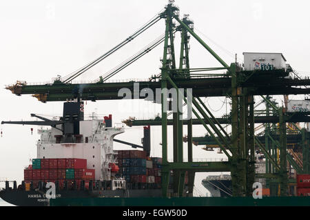 Le Hansa Centaur aux côtés de Singapore Docks. Banque D'Images