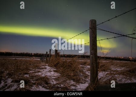 Calgary, Alberta, Canada. 1er mars 2015. Aurora Borealis produit habituellement près du pôle nord, mais peut parfois être vu vers le sud jusqu'à Calgary. Credit : NisargMedia.com/Alamy Live News Banque D'Images