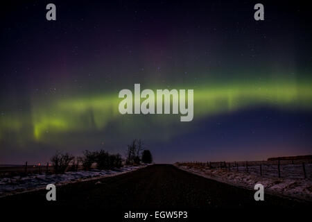 Calgary, Alberta, Canada. 1er mars 2015. Aurora Borealis produit habituellement près du pôle nord, mais peut parfois être vu vers le sud jusqu'à Calgary. Credit : NisargMedia.com/Alamy Live News Banque D'Images