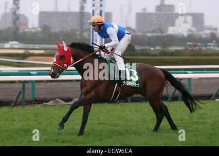 Hyogo, Japon. 1er mars 2015. Mirco Demuro Daiwa Maggiore () les courses de chevaux : Daiwa Maggiore monté par Mirco Demuro avant l'Hankyu Hai à Hippodrome de Hanshin à Hyogo, Japon . © Eiichi Yamane/AFLO/Alamy Live News Banque D'Images