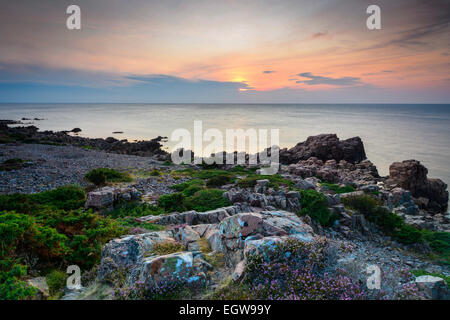 L'humeur du soir, Hovs Hallar, littoral, réserve naturelle de la péninsule Bjärehalvön, Båstad, Scania, Suède Banque D'Images